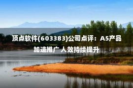 顶点软件(603383)公司点评：A5产品加速推广 人效持续提升