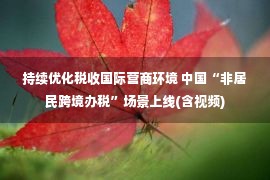 持续优化税收国际营商环境 中国“非居民跨境办税”场景上线(含视频)