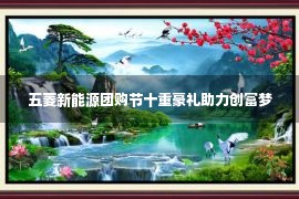 五菱新能源团购节十重豪礼助力创富梦