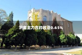 沪金主力合约收涨0.65%