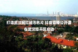 打造武汉网红城市名片 抖音直播公开课在武汉经开区启动