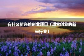 有什么新兴的创业项目（适合创业的新兴行业）