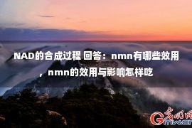 NAD的合成过程 回答：nmn有哪些效用，nmn的效用与影响怎样吃