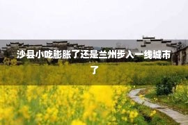 沙县小吃膨胀了还是兰州步入一线城市了