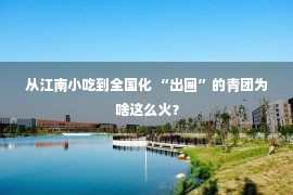 从江南小吃到全国化 “出圈”的青团为啥这么火？