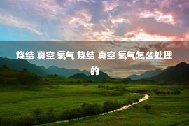 烧结 真空 氢气 烧结 真空 氢气怎么处理的