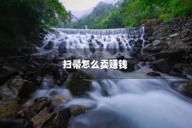 扫帚怎么卖赚钱 