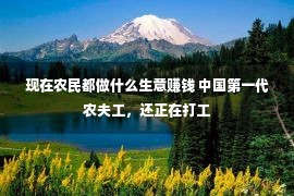 现在农民都做什么生意赚钱 中国第一代农夫工，还正在打工