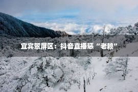 宜宾翠屏区：抖音直播惩“老赖”