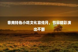 鲁南特色小吃文化宣传月，节目精彩演出不断