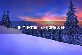 让“小生意”迈开发展大步