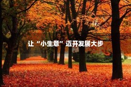 让“小生意”迈开发展大步