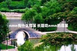 nmn有什么危害 长期吃nmn的危害