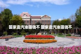 国家卖汽油赚钱不 国家卖汽油赚钱不