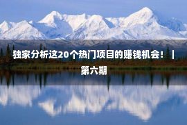 独家分析这20个热门项目的赚钱机会！｜第六期