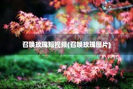 召唤玫瑰短视频(召唤玫瑰图片)