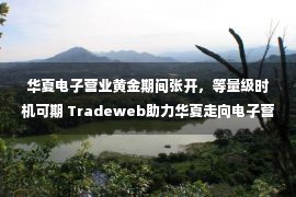 华夏电子营业黄金期间张开，等量级时机可期 Tradeweb助力华夏走向电子营业辽阔来日