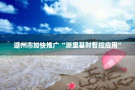 湖州市加快推广“浙里基财智控应用”