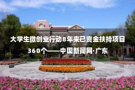 大学生微创业行动8年来已资金扶持项目360个——中国新闻网·广东