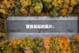 营养超标的图片: