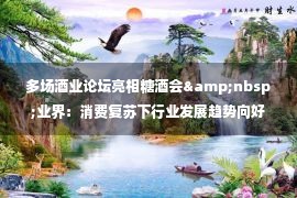 多场酒业论坛亮相糖酒会&nbsp;业界：消费复苏下行业发展趋势向好