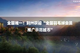 全国唯一！荆州获称“全国羽毛球会员推广示范城市”