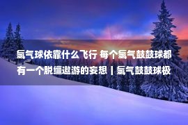 氢气球依靠什么飞行 每个氢气鼓鼓球都有一个脱缰遨游的妄想丨氢气鼓鼓球极简史