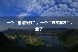 一个“偷梁换柱”，一个“自学成才”，栽了