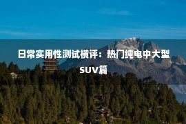 日常实用性测试横评：热门纯电中大型SUV篇