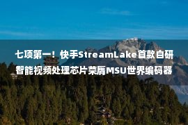 七项第一！快手StreamLake首款自研智能视频处理芯片荣膺MSU世界编码器大赛多个奖项