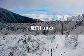 资讯】2023