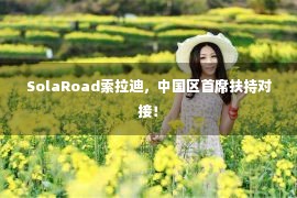 SolaRoad索拉迪，中国区首席扶持对接！