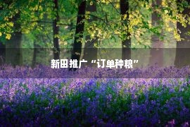 新田推广“订单种粮”