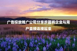 广告投放推广公司分享步骤将企业与用户直接连接起来