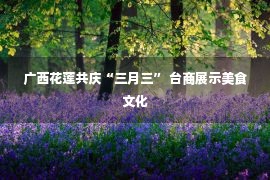 广西花莲共庆“三月三” 台商展示美食文化