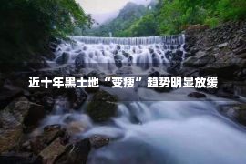 近十年黑土地“变瘦”趋势明显放缓