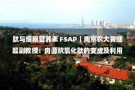 肽与细胞营养素 FSAP｜南京农大黄继超副教授：肉源抗氧化肽的变成及利用争论掘起