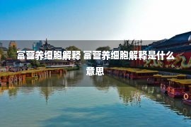 富营养细胞解释 富营养细胞解释是什么意思