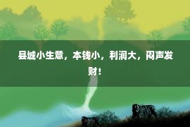 县城小生意，本钱小，利润大，闷声发财！