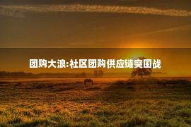 团购大浪:社区团购供应链突围战