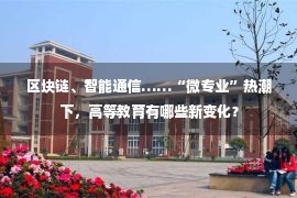 区块链、智能通信……“微专业”热潮下，高等教育有哪些新变化？