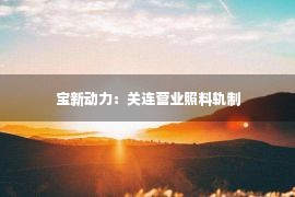 宝新动力：关连营业照料轨制