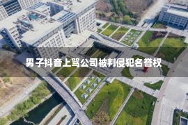 男子抖音上骂公司被判侵犯名誉权