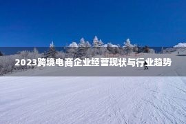 2023跨境电商企业经营现状与行业趋势