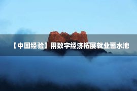 【中国经验】用数字经济拓展就业蓄水池