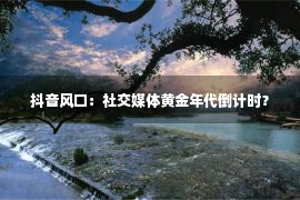 抖音风口：社交媒体黄金年代倒计时？