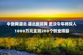 中新网湖北 湖北新闻网 武汉今年将投入1000万元支持200个创业项目