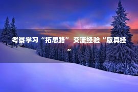 考察学习“拓思路” 交流经验“取真经”