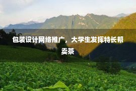 包装设计网络推广，大学生发挥特长帮卖茶