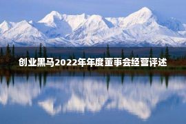 创业黑马2022年年度董事会经营评述